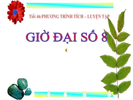 Bài giảng Đại số 8 - Tiết 46: Phương trình tích. Luyện tập