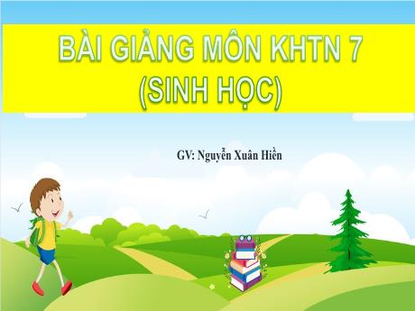 Bài giảng Khoa học tự nhiên Lớp 7 - Bài 24: Vai trò của nước và các chất dinh dưỡng đối với sinh vật - Nguyễn Xuân Hiền