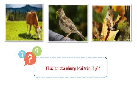 Bài giảng Khoa học tự nhiên Lớp 7 - Bài 26: Trao đổi nước và chất dinh dưỡng ở động vật