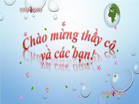 Bài giảng Lịch sử Lớp 7 - Tiết 17. Bài 8: Phong trào Tây Sơn (Tiếp theo)