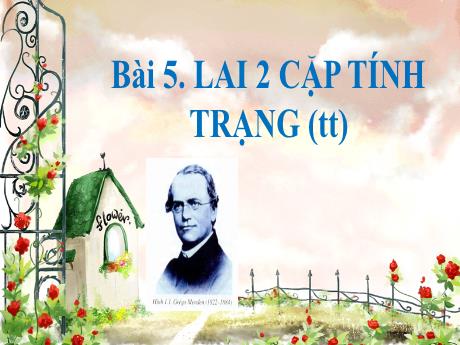 Bài giảng Sinh học 9 - Bài 5: Lai 2 cặp tính trạng (Tiếp theo)